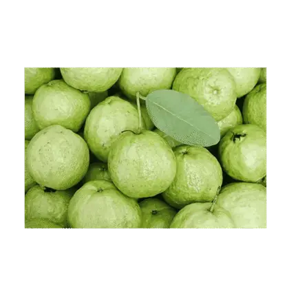 guava