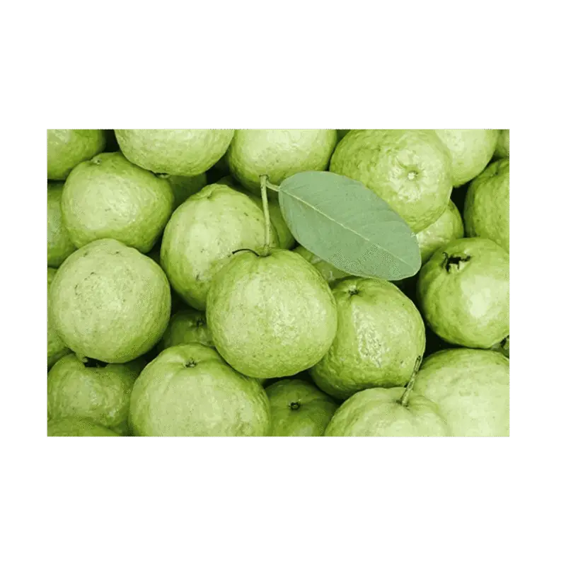 guava